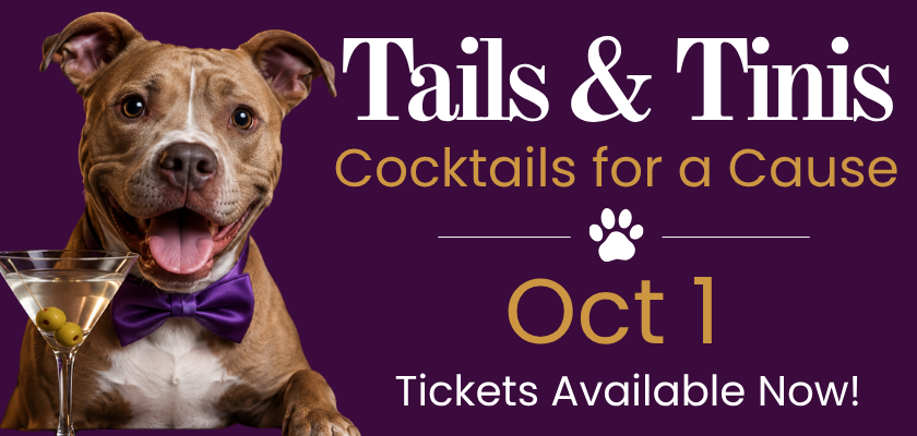Brown dog wearing a purple bow tie next to a martini glass promoting Tails & Tinis: Cocktails for a Cause. The graphic announces the October 1 event and that tickets are available now.